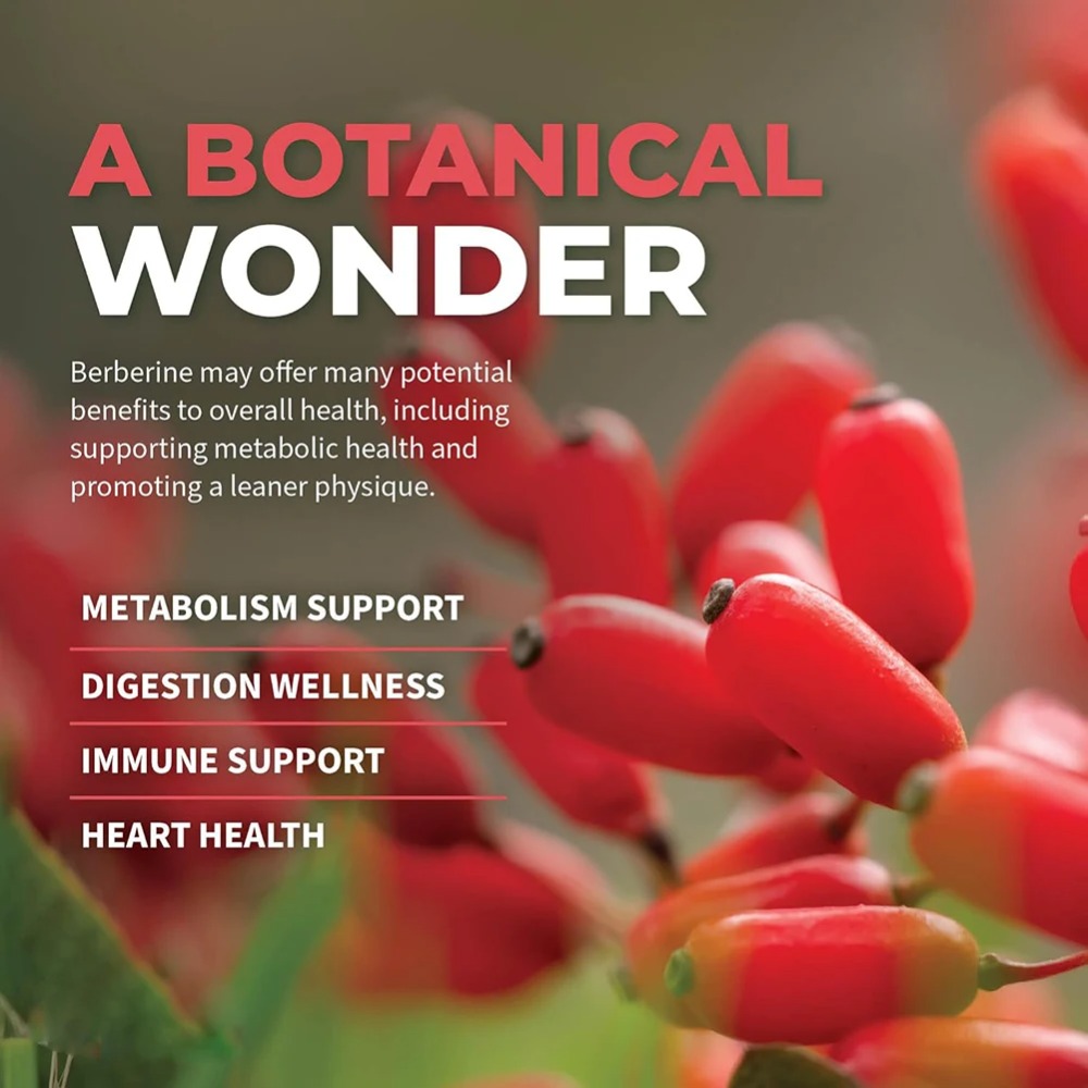 Berberine HCl with Ceylon Cinn - Berberine Hcl Capsule review and price