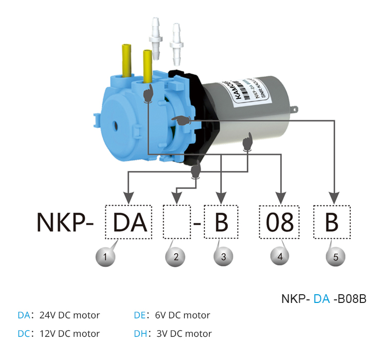 2026 new NKP 6V 12V 24V DC mot - Nutrition & Fitness Hub review and price