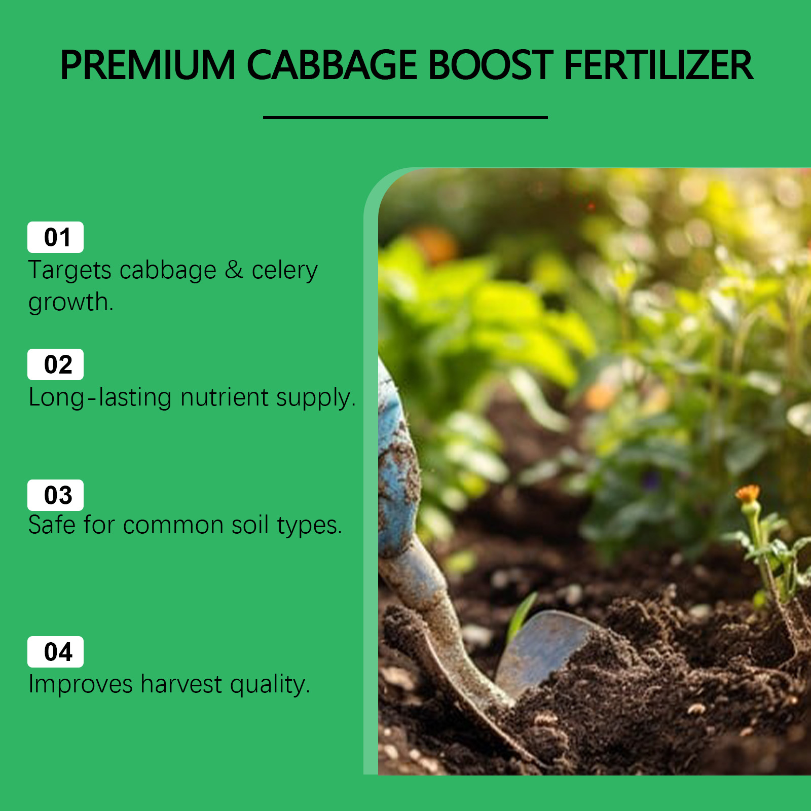 Indoor Outdoor Vegetable Growt - Nutrition & Fitness Hub review and price