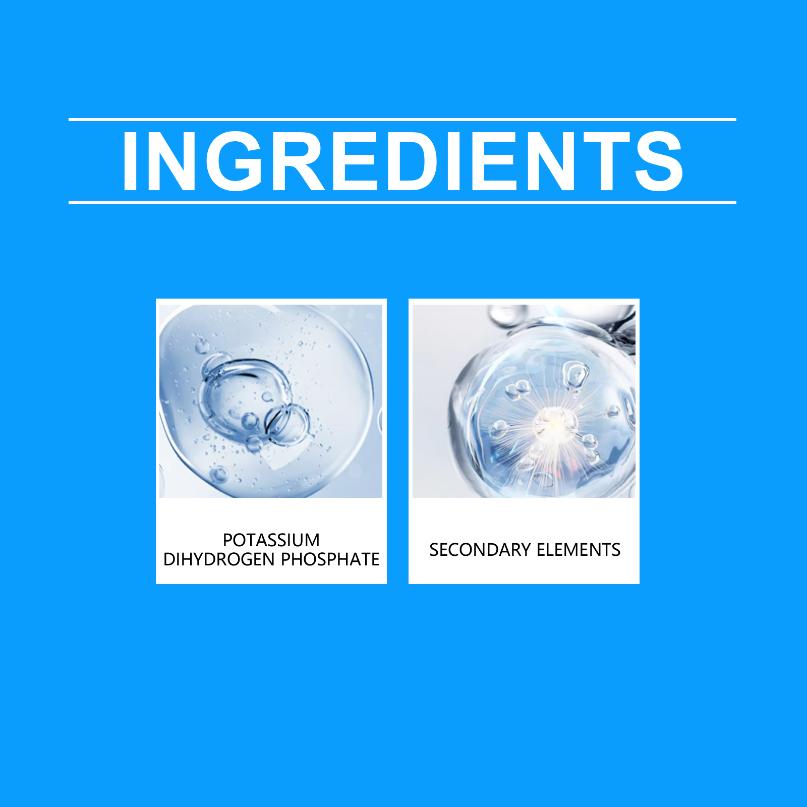Flower Nutrient Solution Liqui - Nutrition & Fitness Hub review and price