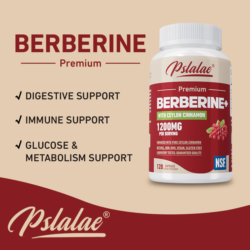 Berberine - Antioxidant, Suppo - Berberine Hcl Capsule review and price