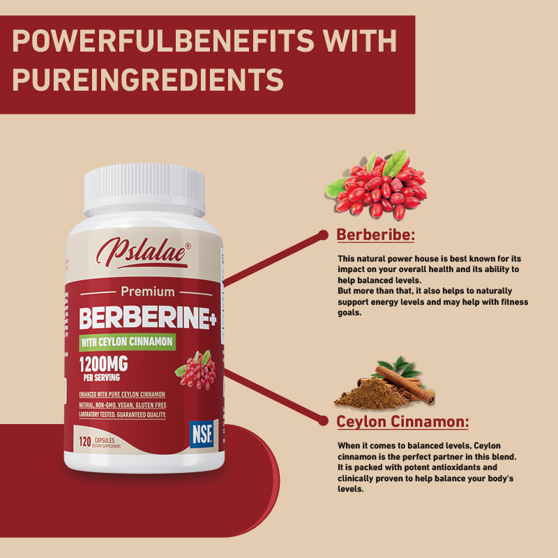 Berberine - Antioxidant, Suppo - Berberine Hcl Capsule review and price