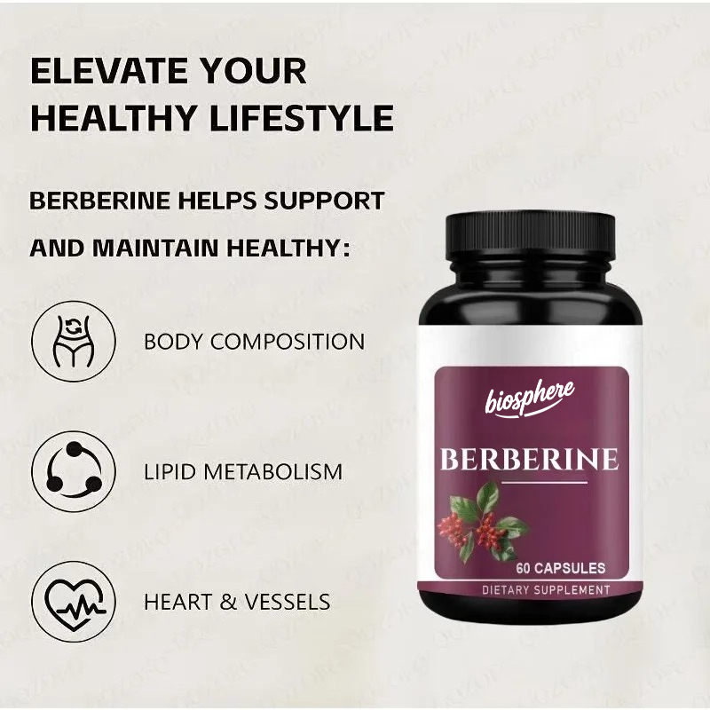 Berberine Supplement-60 vegeta - Berberine Hcl Capsule review and price